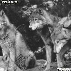 4 My Dawgs ft. BMOTILL, BaldwinBoy Zay, KingSkoonk, BabyJoe