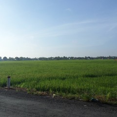 Mashup: Hành Trình Trên Đất Phù Sa - Miền Tây Quê Tui