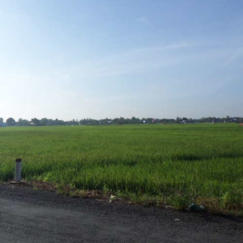 Mashup: Hành Trình Trên Đất Phù Sa - Miền Tây Quê Tui