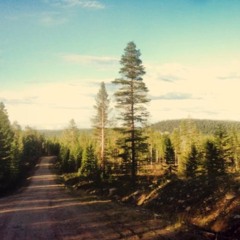 Jaakko Laitinen & Väärä Raha - Pölyiset tiet feat. Laura Airola