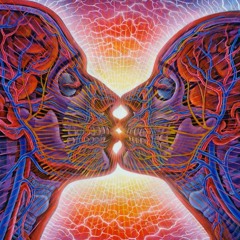 Vimana Shastra - Melted Together (Re - Edit) 432 Hertz