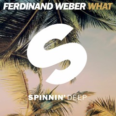 Ferdinand Weber - What (Original Mix)