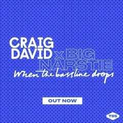 >>10k FREE DOWNLOAD<< Craig David x Big Narstie - When The Bassline Drops ( ΞLUSIV3 Remix)