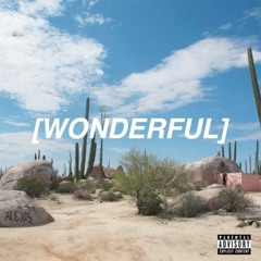 Travis Scott - Wonderful