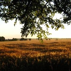 Always The Sun