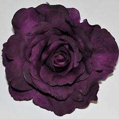 AM€N0 (Purple roses)