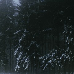 Sova Stroj_Silent Earth lp_As Days Grow Silent We Love Each Other