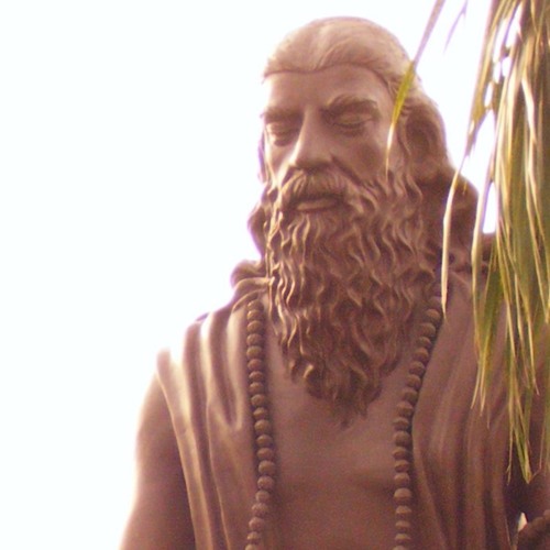 La Méditation Selon Patanjali par Swami Veetamohananda