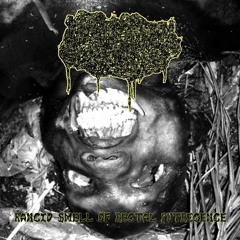 Human Stench Rests In The Morgue - 8 Trx from Rancid Smell Of Rectal Putrecence