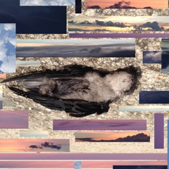 Music that won't exist again