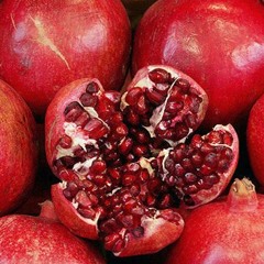 Yalda (Sleeping Sun)by the Mae Shi