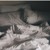 Artwork for Delicate (Damien Rice Cover) -- 1 Take