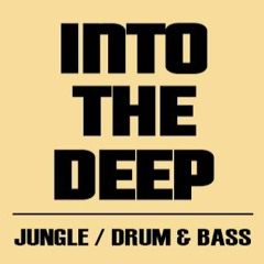 Madruler - Into The Deep teasermix vol.2