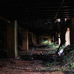 Ruined Factory Taken by Nature, Portugal
