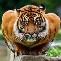 Ambitous- Power (freestyle).m4a