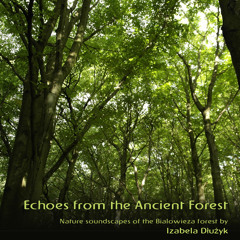 LoFi Summer 🏝 [Sunny Day Instrumental Beats]