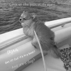 [B]Ark