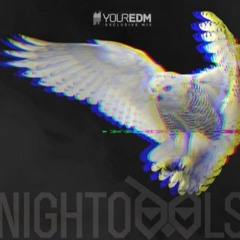 Your EDM Mix with NIGHTOWLS - Volume 30