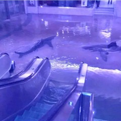 NITE BOY'S 2K15 BEDROOM SET ♫♪♪