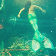 Stingray/ / / / / / (FREE STYLE)