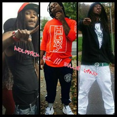 "LOYALTY" WOLFPACK INC /// BULLIE GANG ANTHEM