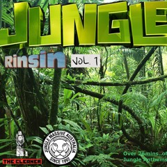 Jungle Rinsin Vol I