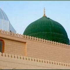 هلالك كم تحن له القلوب_معاذ ابراهيم