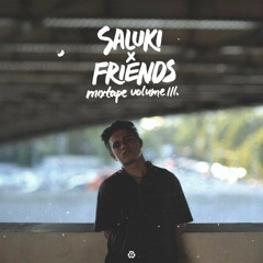 Saluki x Friends