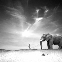 shakka - walking with the elephants (feat frisco ) .wildee