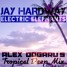 Electric Elephants (Alex Dogaru's Deep Tropical Remix)