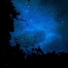 Midnight Sky