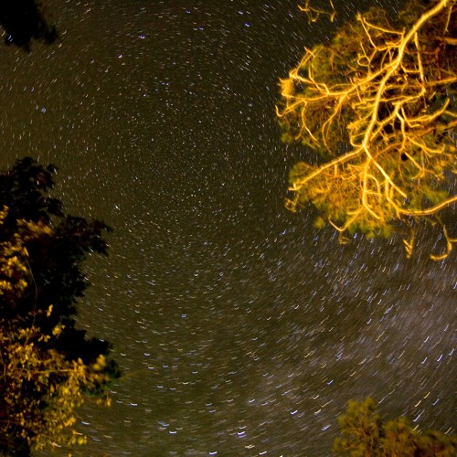Nicopol - Fireflies