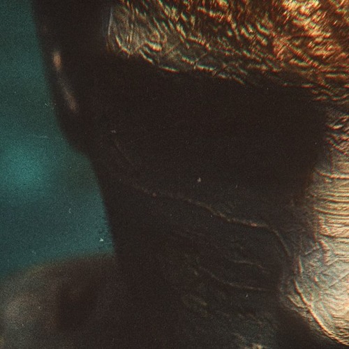 Modetech - Stay Alive ( Preview )