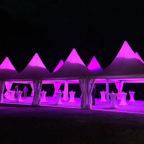 Doc Braitinger From Dusk Til Dawn