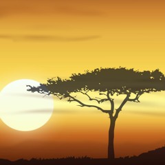 K'NAAN - In the beginning OLY african vibes remix