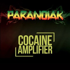 Paranoiak - Cocaine Amplifier ( soon on RAGGATEK FORCE 01 )
