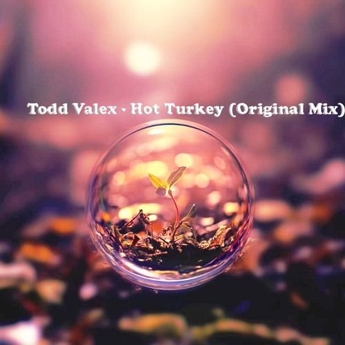 Todd Valex - Hot Turkey (Original Mix) FREE DOWNLOAD