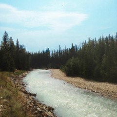 Wildfire (feat. Atle Antonsen)