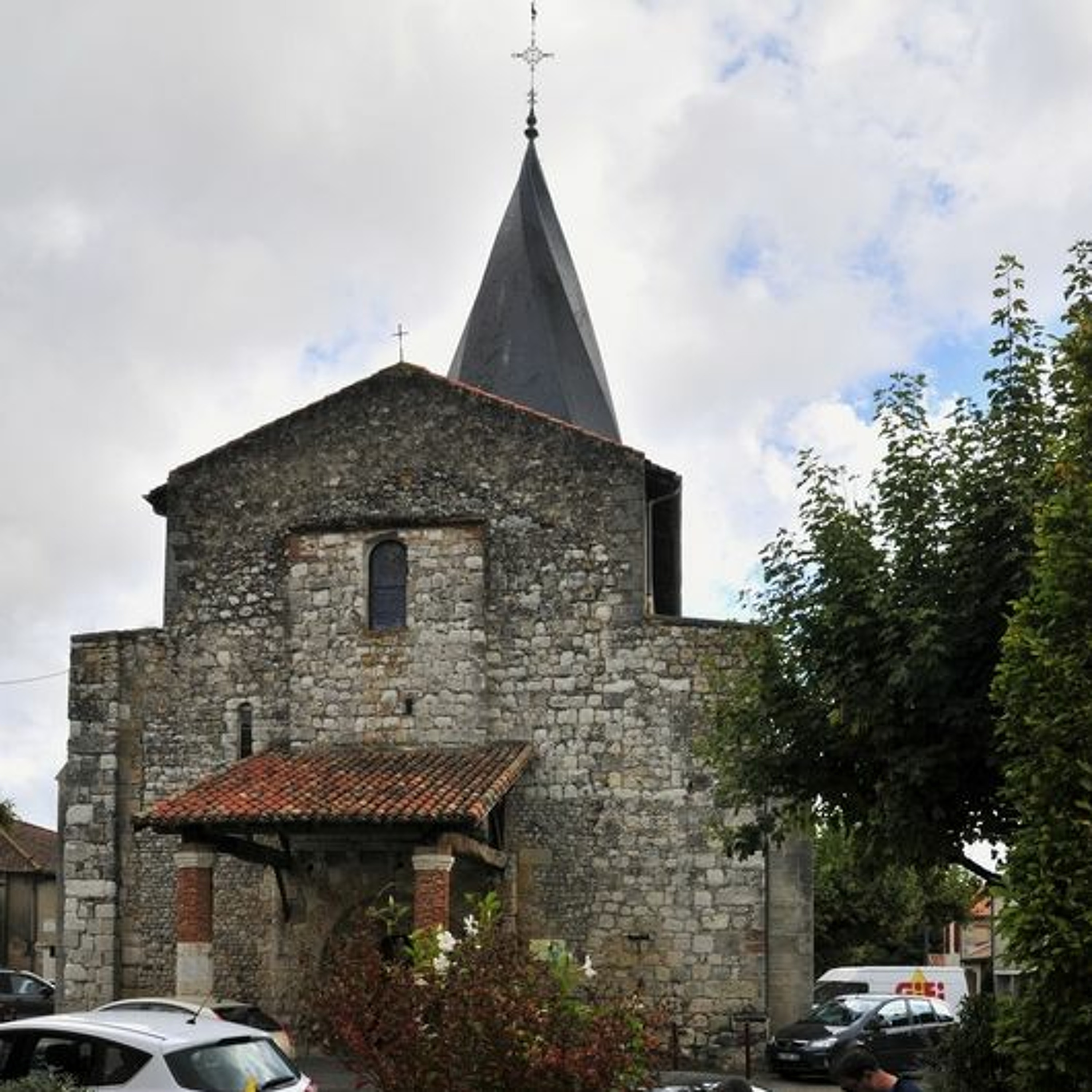 champignonsdesbois