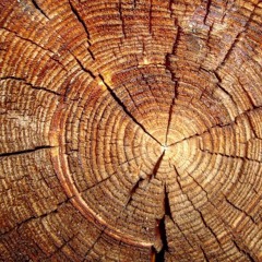 Paul Kalkbrenner Tone and Timber (IP REMIX)