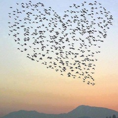 Oh My Mama! (cover Alela Diane)