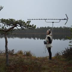 Estonia // The Baltic Woodpecker / Bogwalk / AM Space Orchestra
