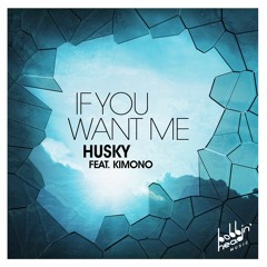 Husky - If You Want Me (ft. Kimono)