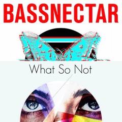 David Heartbreak & Bassnectar x What So Not - Touched The Rose Colored Bass (Colors Edit)