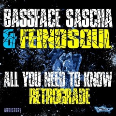 Bassface Sascha & Feindsoul - Retrograde