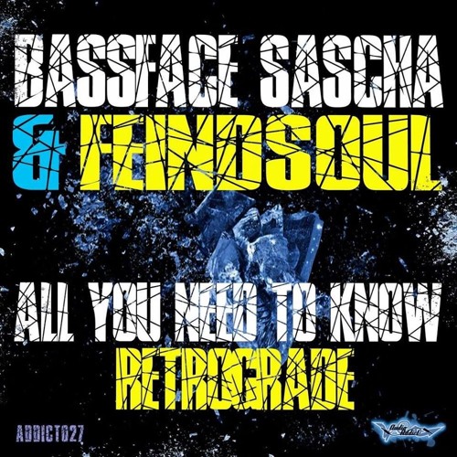Bassface Sascha & Feindsoul - Retrograde