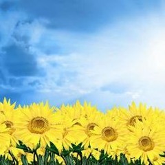 Gravelpit - Pop Shack - SnowGlobe LP