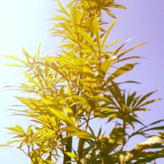 Heat Ft. GDP KingFlow & GutieG