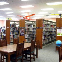 Library Ambience