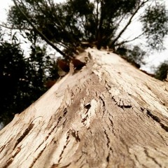 Bonhomía Pist Prod. Ink Beats